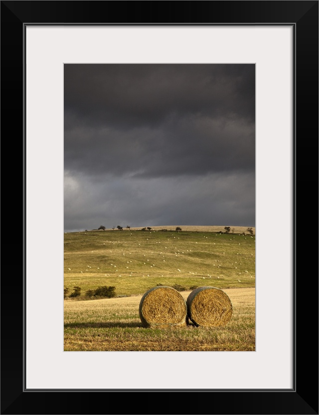 Hay Bales In A Field Under A Dark Cloudy Sky; Northumberland, England