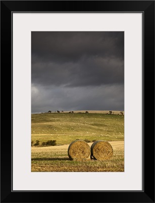 Hay Bales In A Field Under A Dark Cloudy Sky; Northumberland, England