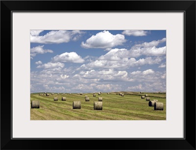 Hay Bales In Field, Alberta, Canada