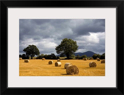 Hay Bales In Field, Clogheen, County Tipperary, Ireland