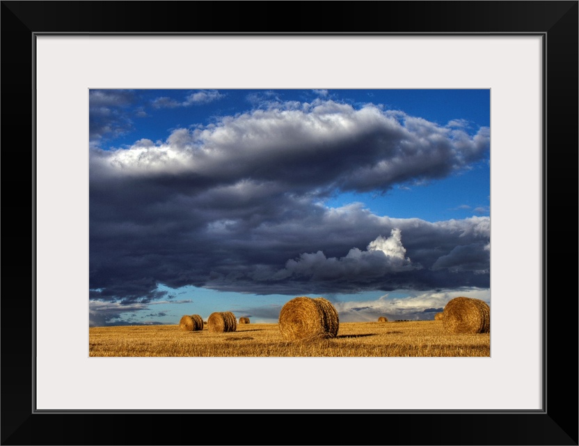 Hay Bales Under Cumulus Clouds In Autumn, Rural Alberta, Canada