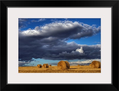 Hay Bales Under Cumulus Clouds In Autumn, Rural Alberta, Canada