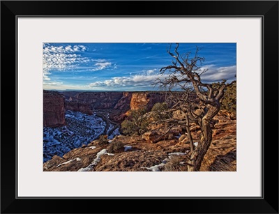 Image Of Tree With Vibrant Blue Sky On Canyon De Chelley, Arizona, USA