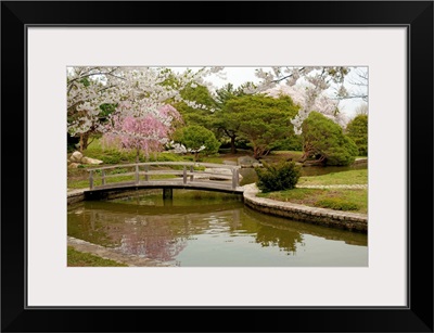 Japanese garden with cherry trees, pond and footbridge in springtime.; Roger Williams Park, Providence, Rhode Island.