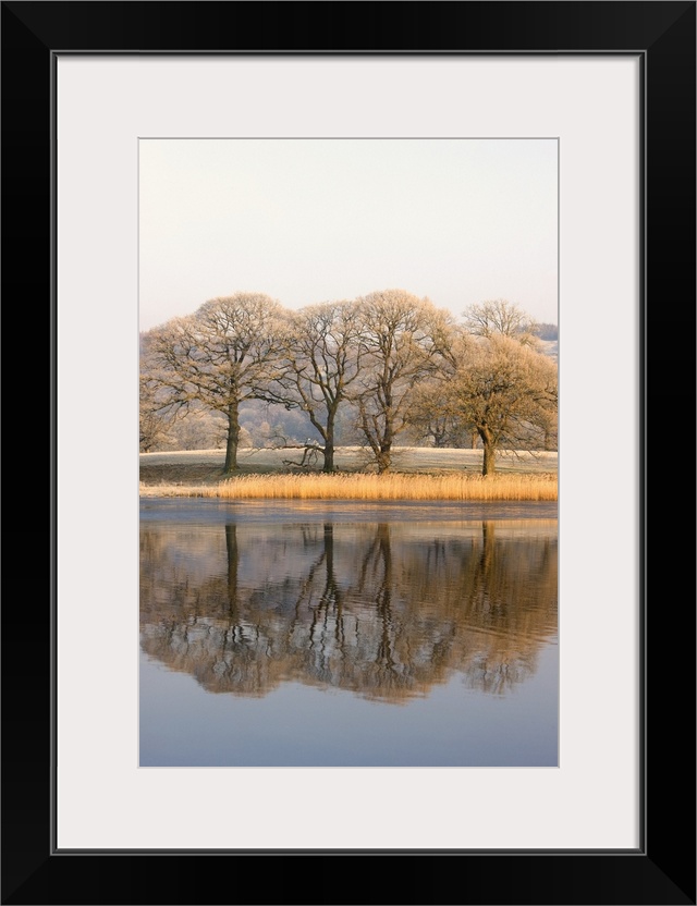 Lake Scenic With Autumn Trees Reflected In Water, Cumbria, England