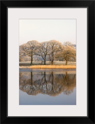 Lake Scenic With Autumn Trees Reflected In Water, Cumbria, England