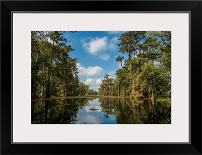 Louisiana, Swamp landscape, Breaux Bridge