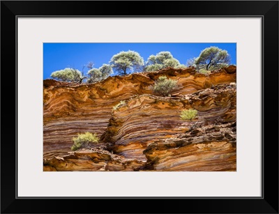 Low Angle View Of Cliff And Trees, The Loop, Kalbarri National Park, Australia