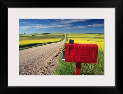 Mailbox On Country Road, Tiger Hills, Manitoba, Canada