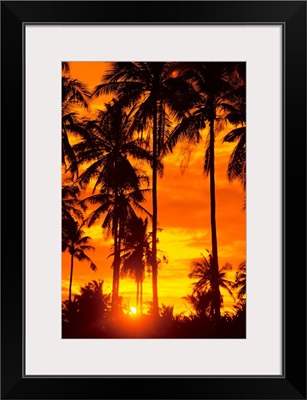 Many Palms Silhouetted In Vibrant Orange Sunset Sky