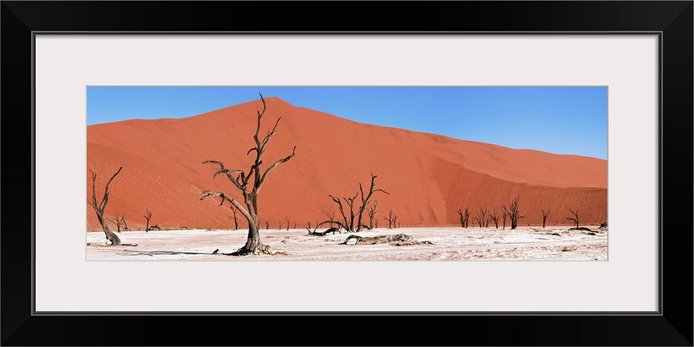 Namib Desert, Namibia, Africa