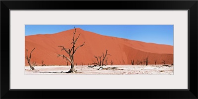 Namib Desert, Namibia, Africa