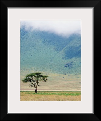 Ngorongoro Crater