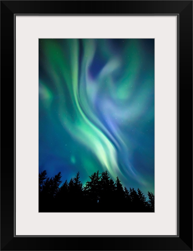 Northern Lights, Tongass National Forest, near Juneau; Alaska, United States of America.