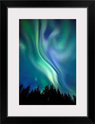 Northern Lights, Tongass National Forest, Near Juneau, Alaska, United States Of America