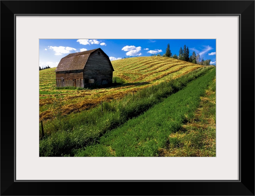 Old Barn In A Field