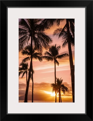 Palm Trees At Sunset; Maui, Hawaii, United States Of America