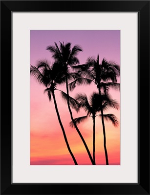 Palm Trees Silhouetted In Sunset Sky