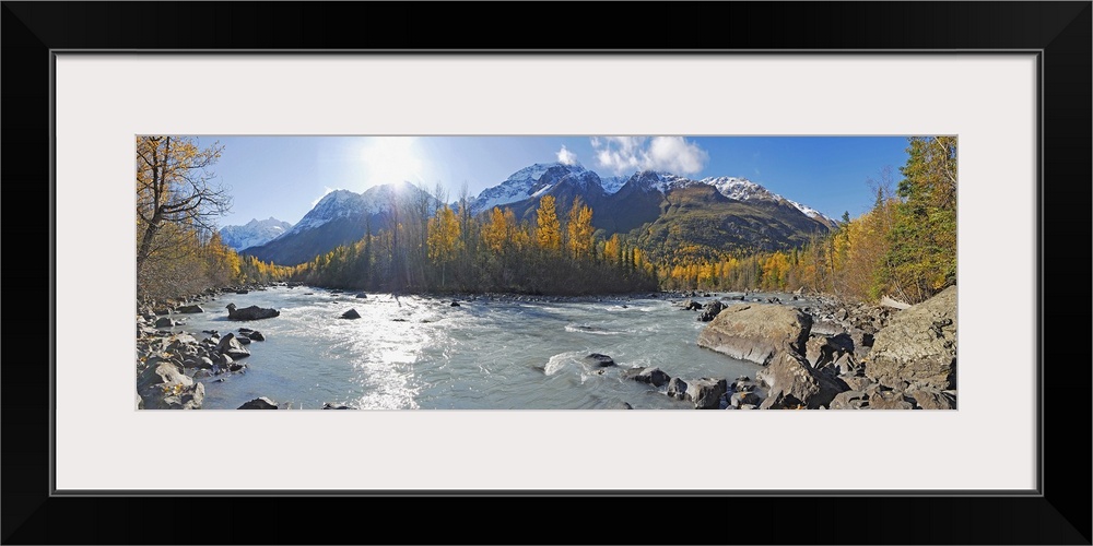 A photograph of a river running through the Alaskan landscape in lined with trees on a sunny day in this panoramic wall art.