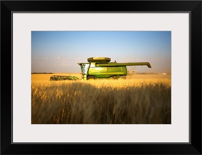Paplow Harvesting Company custom combines a wheat field, near Ray, North Dakota