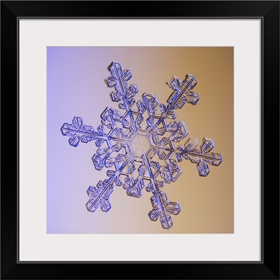 Photomicroscopic close up of a snowflake crystal
