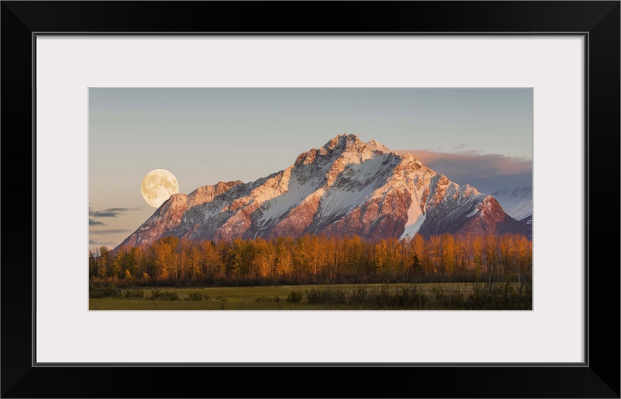 Scenic sunset view of Pioneer Peak with the full moon rising over the Palmer Hay Flats, Alaska, Autumn.