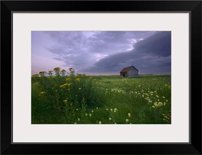 Prairie Wildflowers And An Old Farm Granary, Central Alberta, Canada