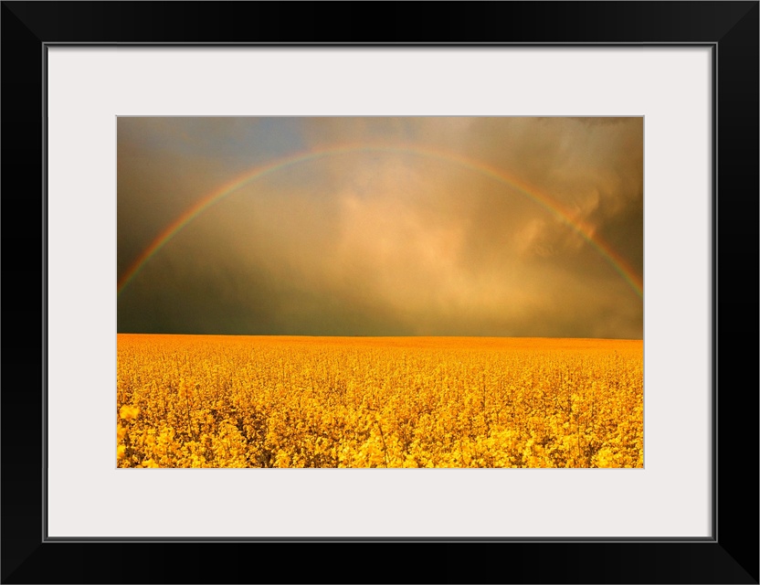 Rainbow Over Farmer's Field