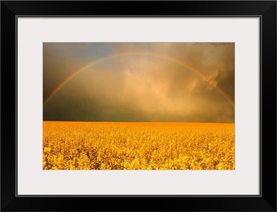 Rainbow Over Farmer's Field