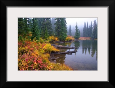 Reflection On Lake In Autumn, Mount Rainier National Park, Washington, USA