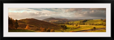 Road Winding Through Autumn Landscape; Scottish Borders, Scotland