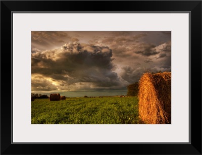 Rolled Hay Bales Under Storm Clouds, Alberta, Canada