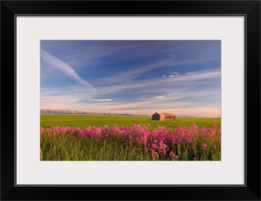 Rural Landscape, Alberta, Canada