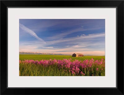 Rural Landscape, Alberta, Canada