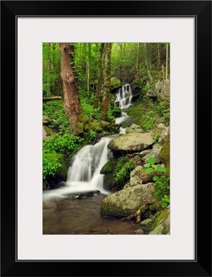 Scenic view of a Smoky Mountains waterfall and forest.; Little River, Great Smoky Mountains National Park, Tennessee.