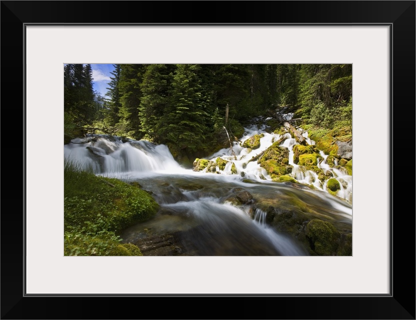 Scenic View Of A Stream