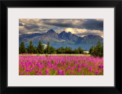 Scenic view of Pioneer peak with Fireweed in the foreground, Palmer, Alaska, HDR image
