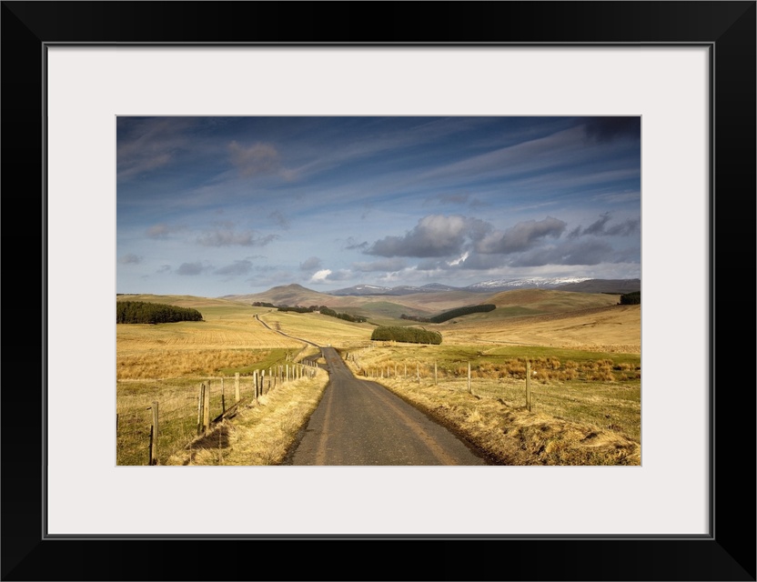 Scottish Borders, Scotland; A Road With Fields On Both Sides