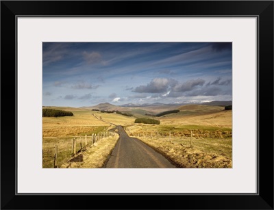 Scottish Borders, Scotland; A Road With Fields On Both Sides