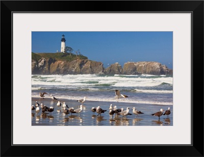 Seagulls On The Beach And Yaquina Head Lighthouse On The Oregon Coast; Oregon