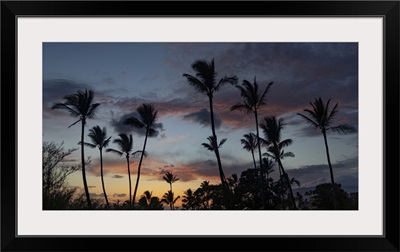 Silhouetted Palm Trees Against The Sky At Twilight In Kihei, Maui, Hawaii