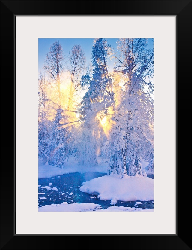 Photo of a stand of Cottonwood trees on an island in the middle of a small stream in a hoarfrost covered forest, rays of s...