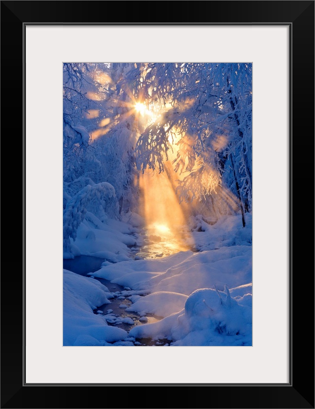 Photo of the rays of sun filtering through the fog next to a small stream flowing through a hoarfrost covered forest, wint...