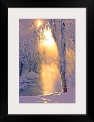 Small stream running through a hoarfrost covered forest