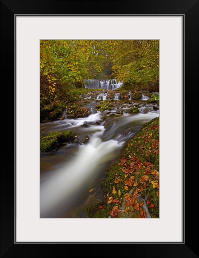 Stock Ghyll flowing over a waterfall through woodland in autumn.