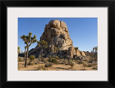 Striking Rock Formations In Joshua Tree National Park, California