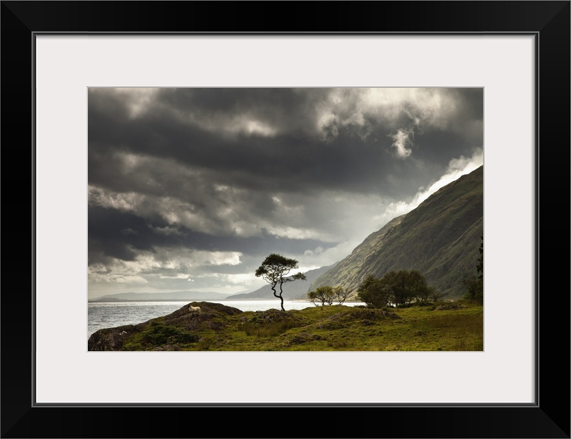 Sunlight Shining Through Clouds Over The Water; Ardnamurchan, Argyl, Scotland