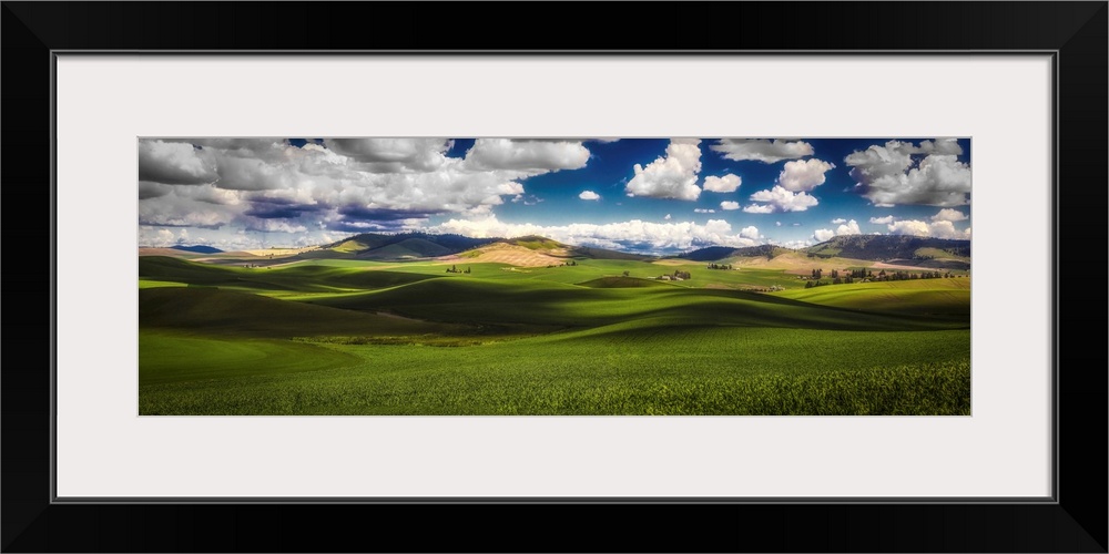 Sunlit Rolling Hills With Green Grain Fields And White Puffy Clouds, Palouse, Washington