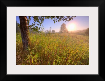 Sunrise On A Dew Covered Grassy Hill, North Of Edmonton, Alberta, Canada