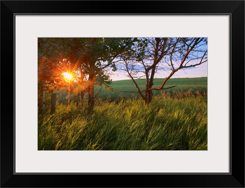 Sunrise On A Farm During The Summer In Central Alberta, Canada